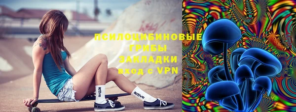 прущая мука Верея