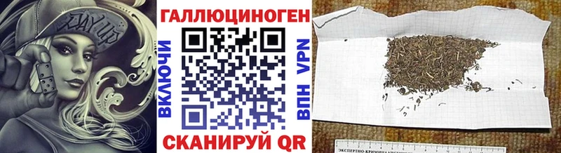 Псилоцибиновые грибы Psilocybine cubensis  Остров 